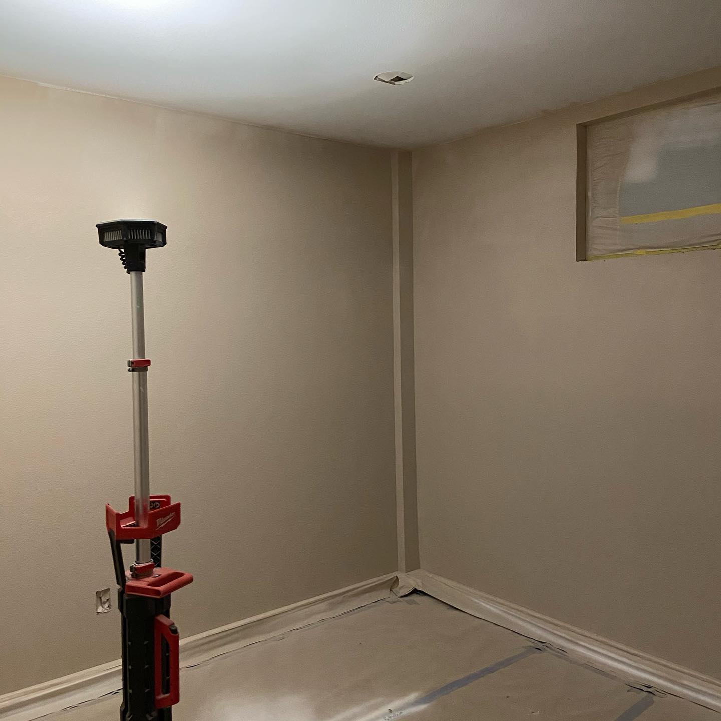 Photo of Armadillo paint color