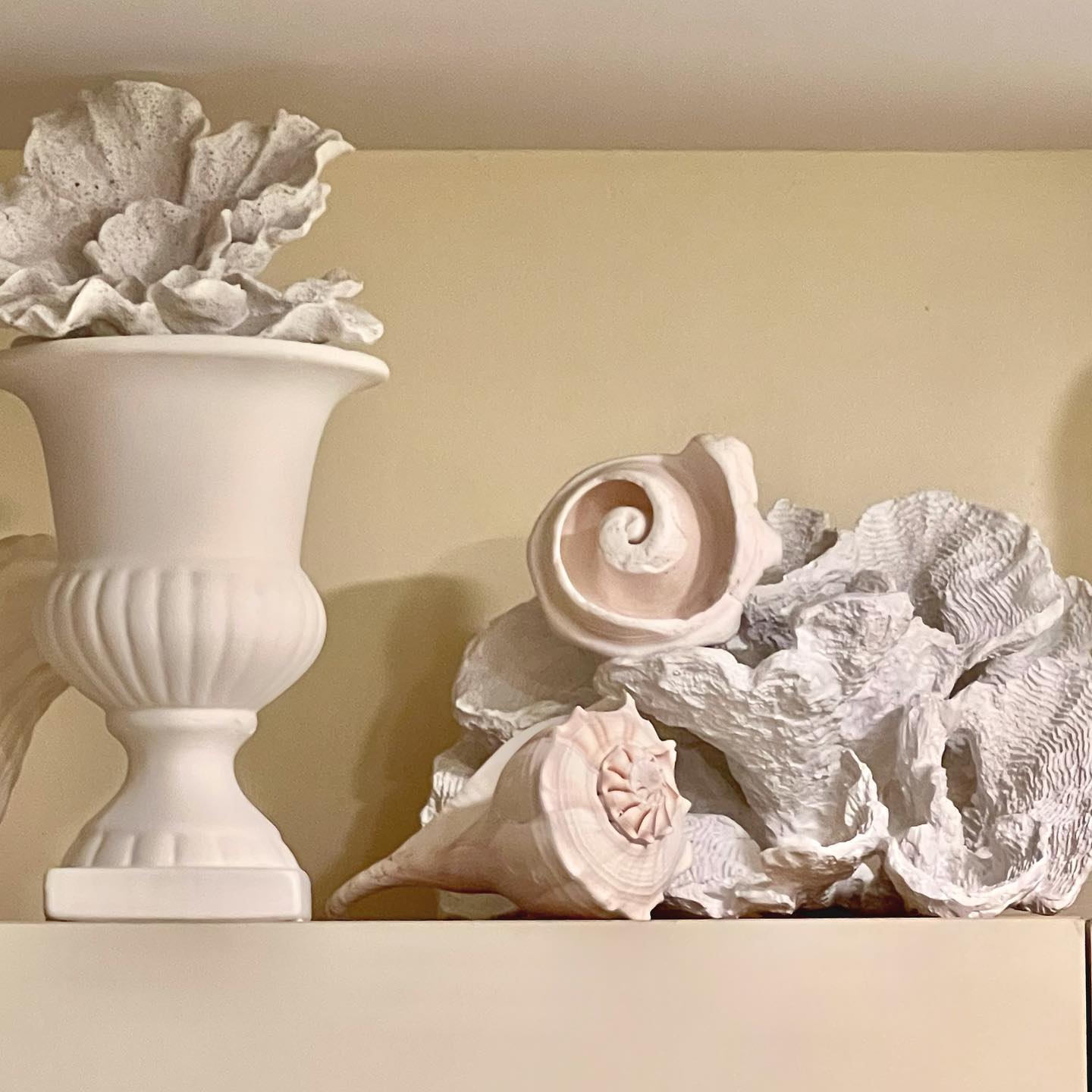 Photo of Coconut Twist paint color