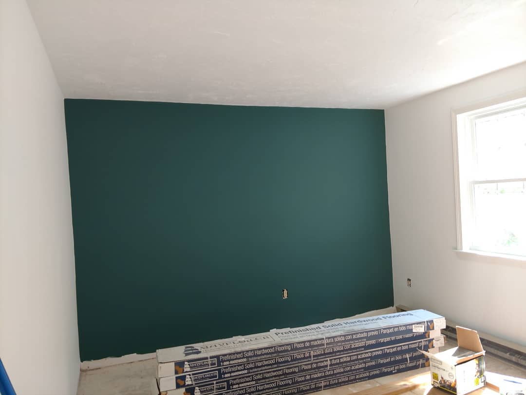 Photo of Dragonfly paint color