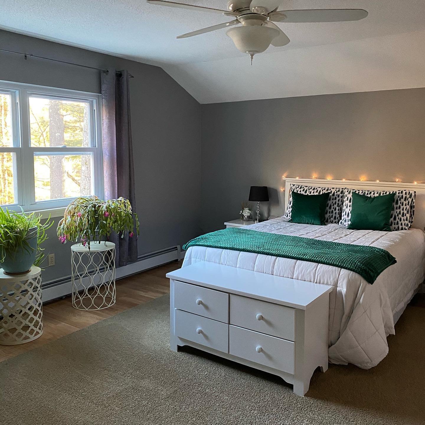 Photo of Flannel Gray paint color
