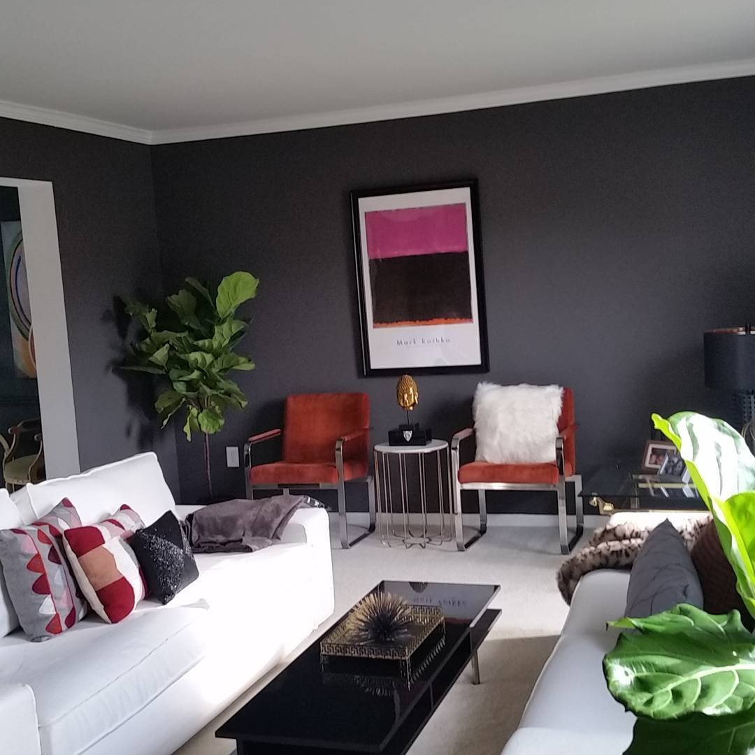 Photo of Intellectual paint color