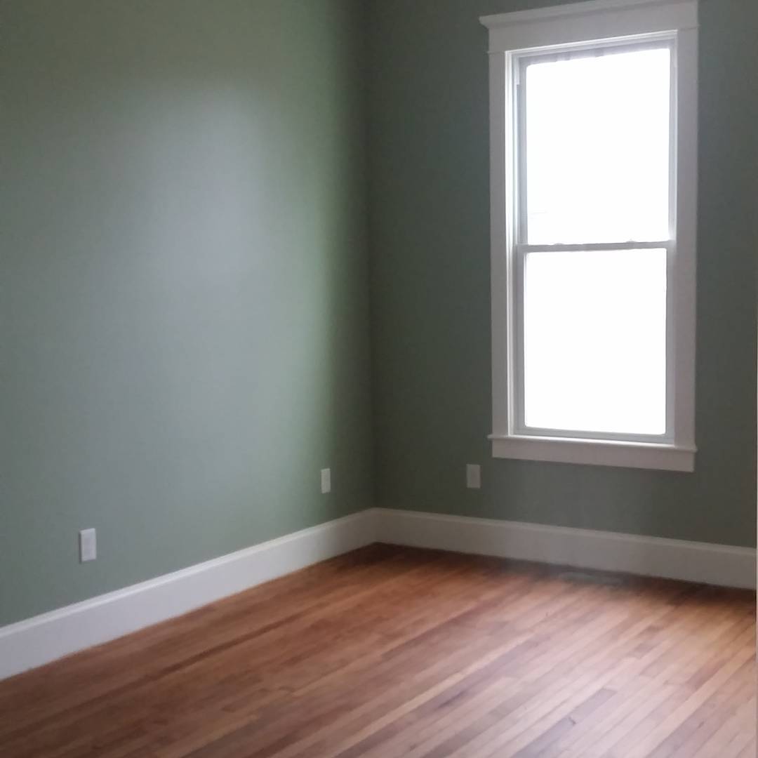 Photo of Jojoba paint color