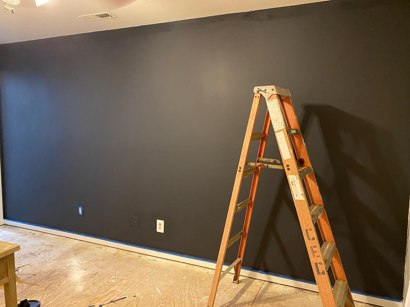 Photo of Poppy Seed paint color