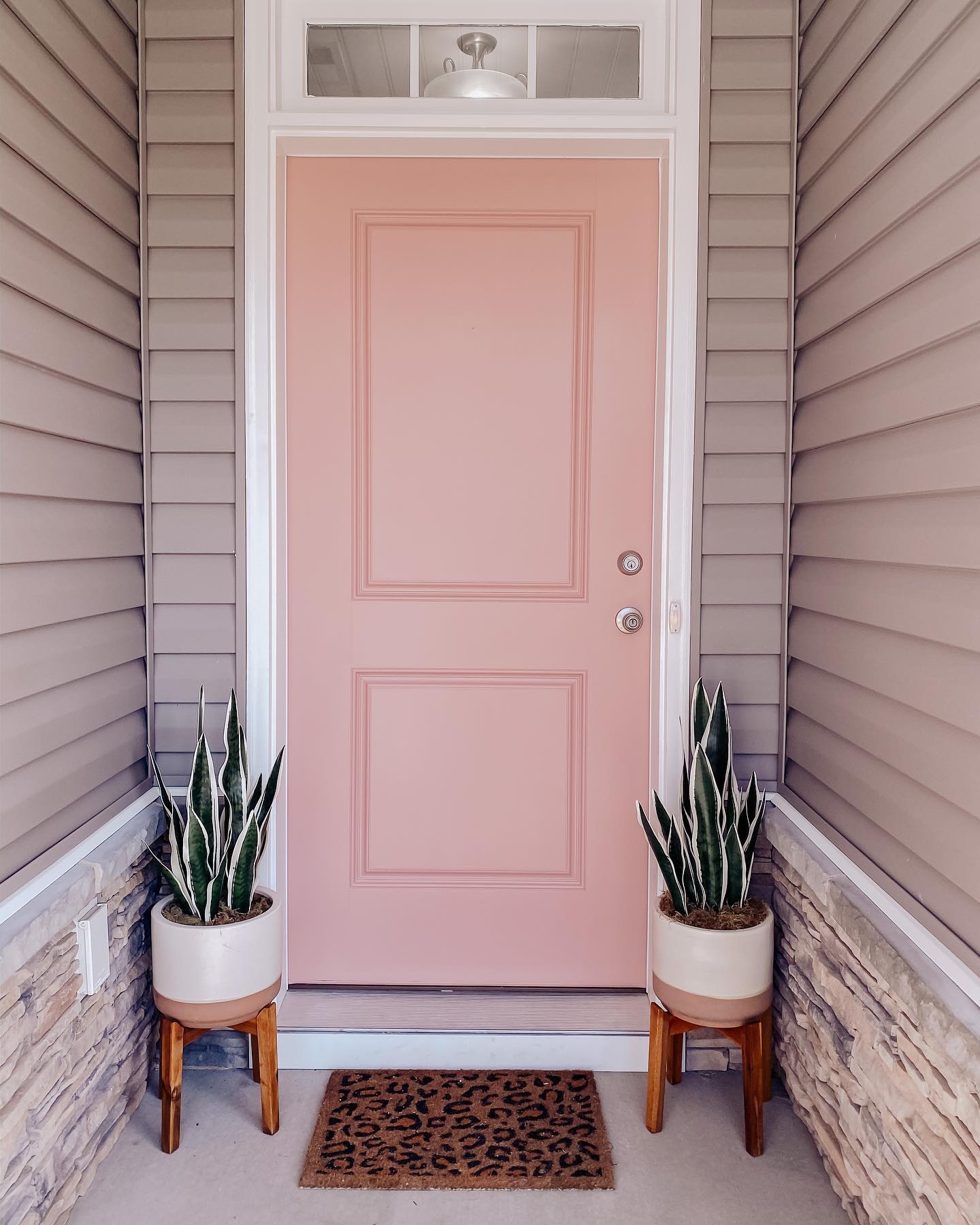 Photo of Retro Pink paint color