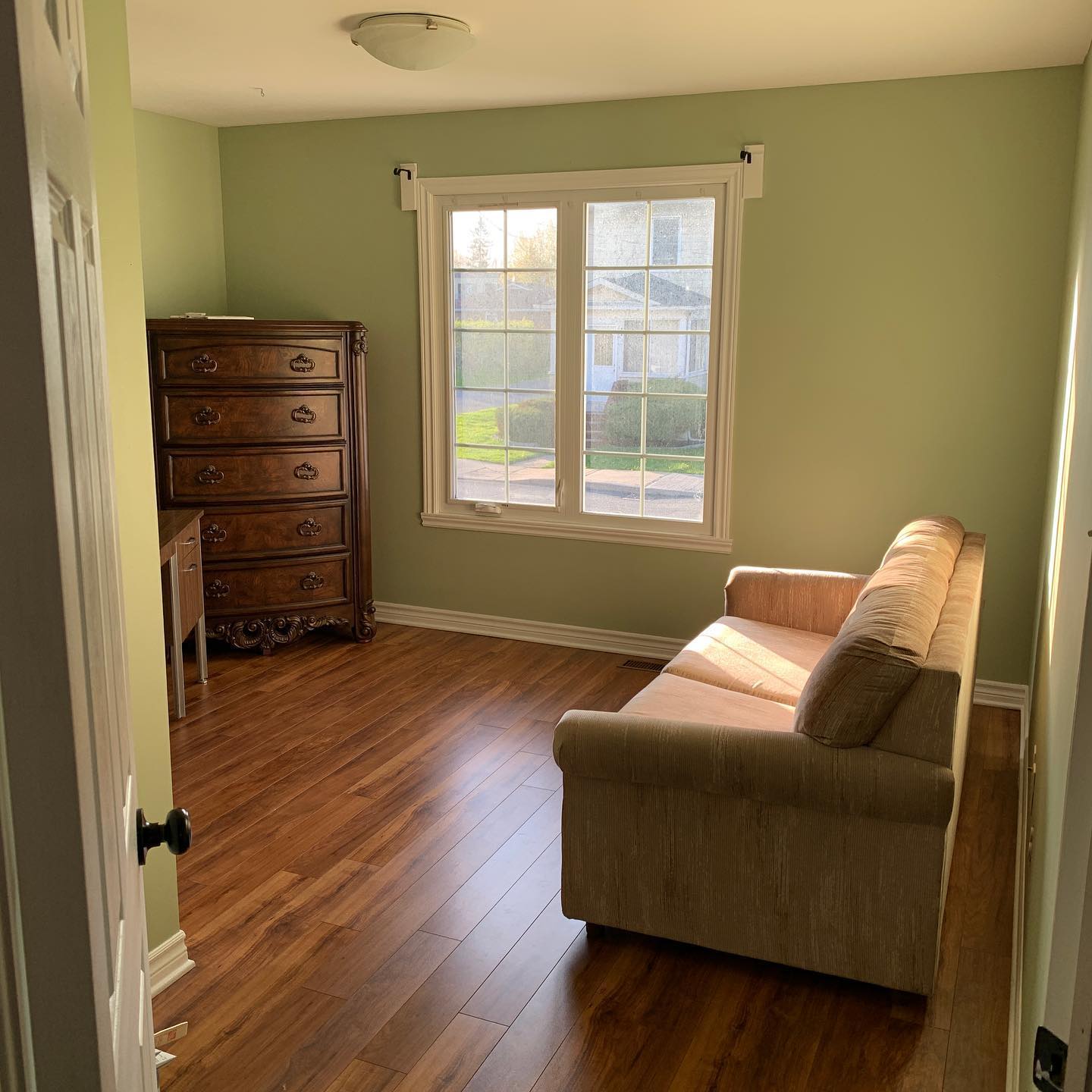Photo of Sage Brush paint color