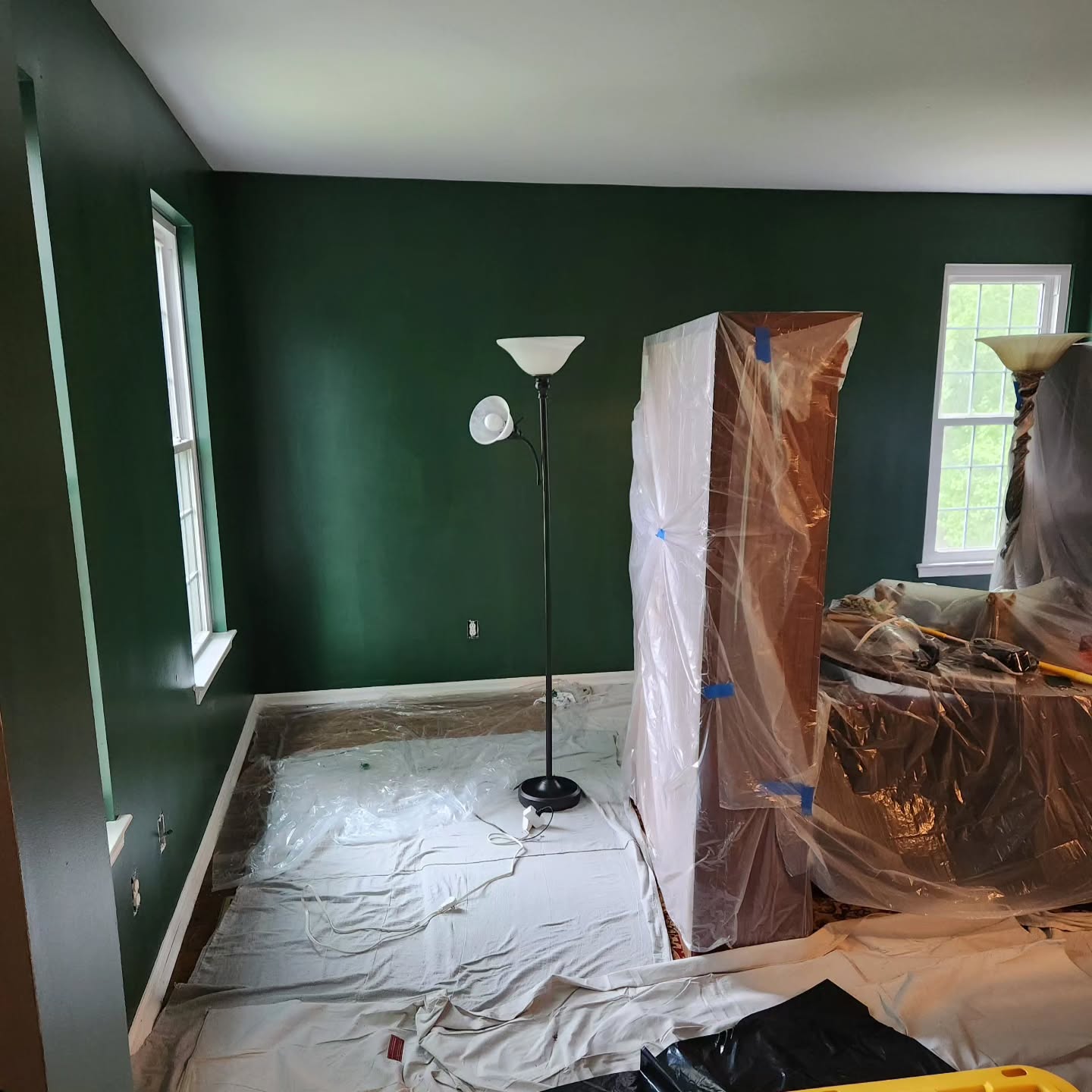 Photo of Vine Leaf paint color