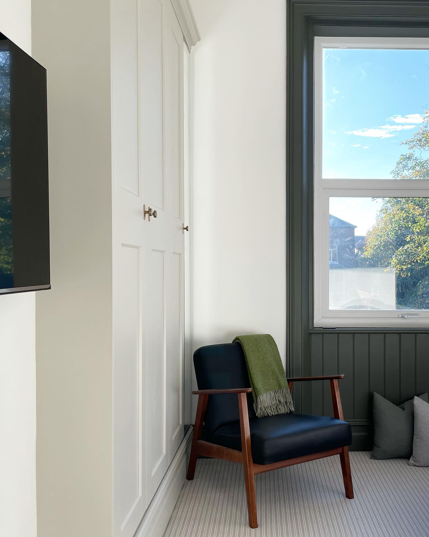 Photo of Dark Olive paint color