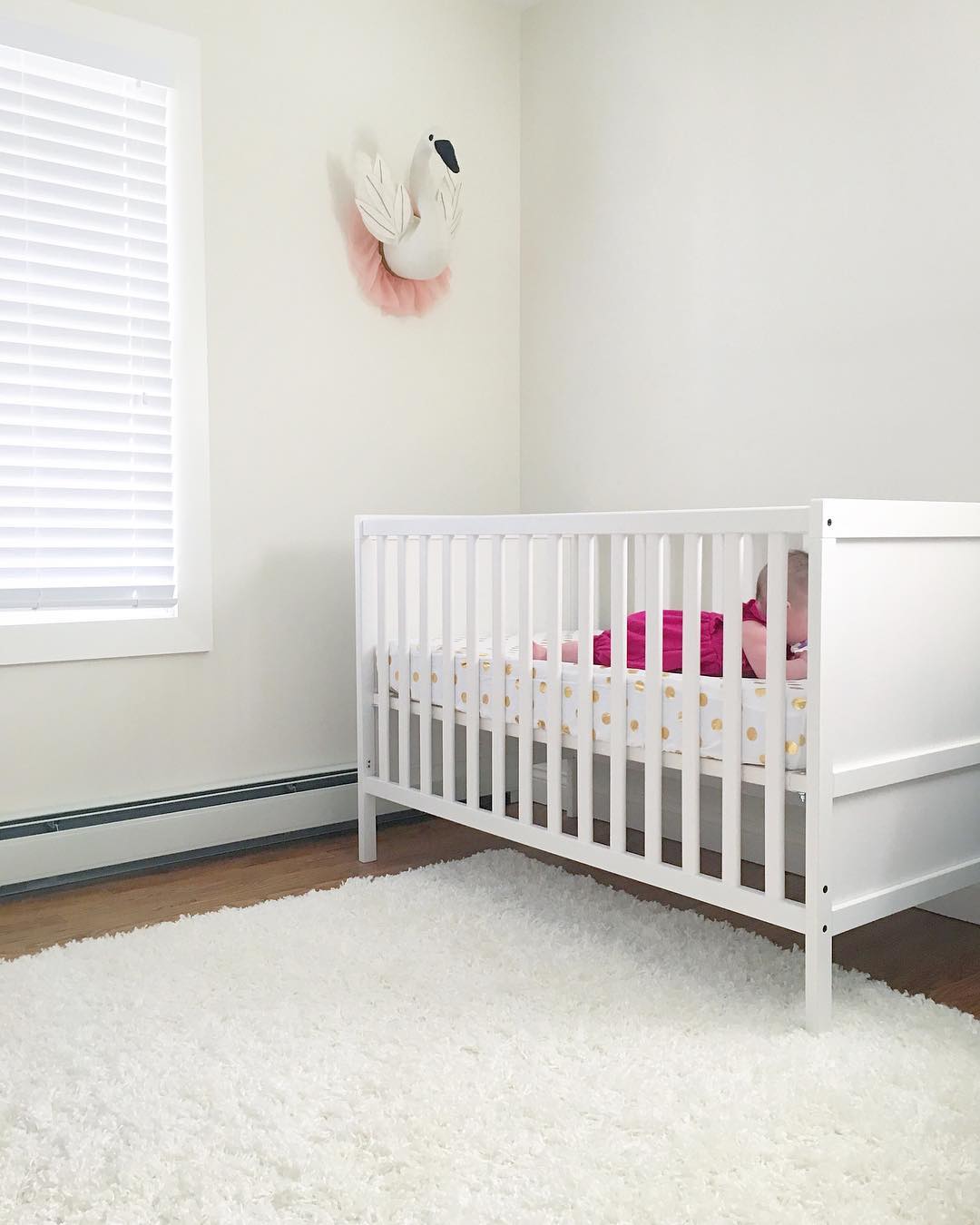 Photo of Dove Wing paint color