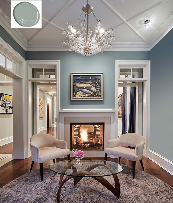 Photo of Greyhound paint color