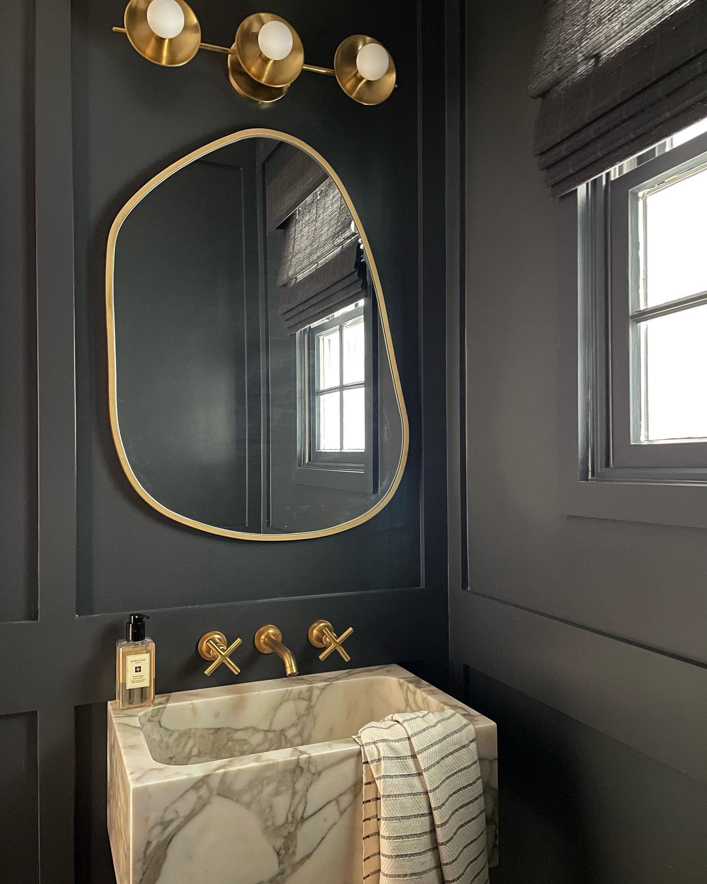 Photo of Raccoon Fur paint color