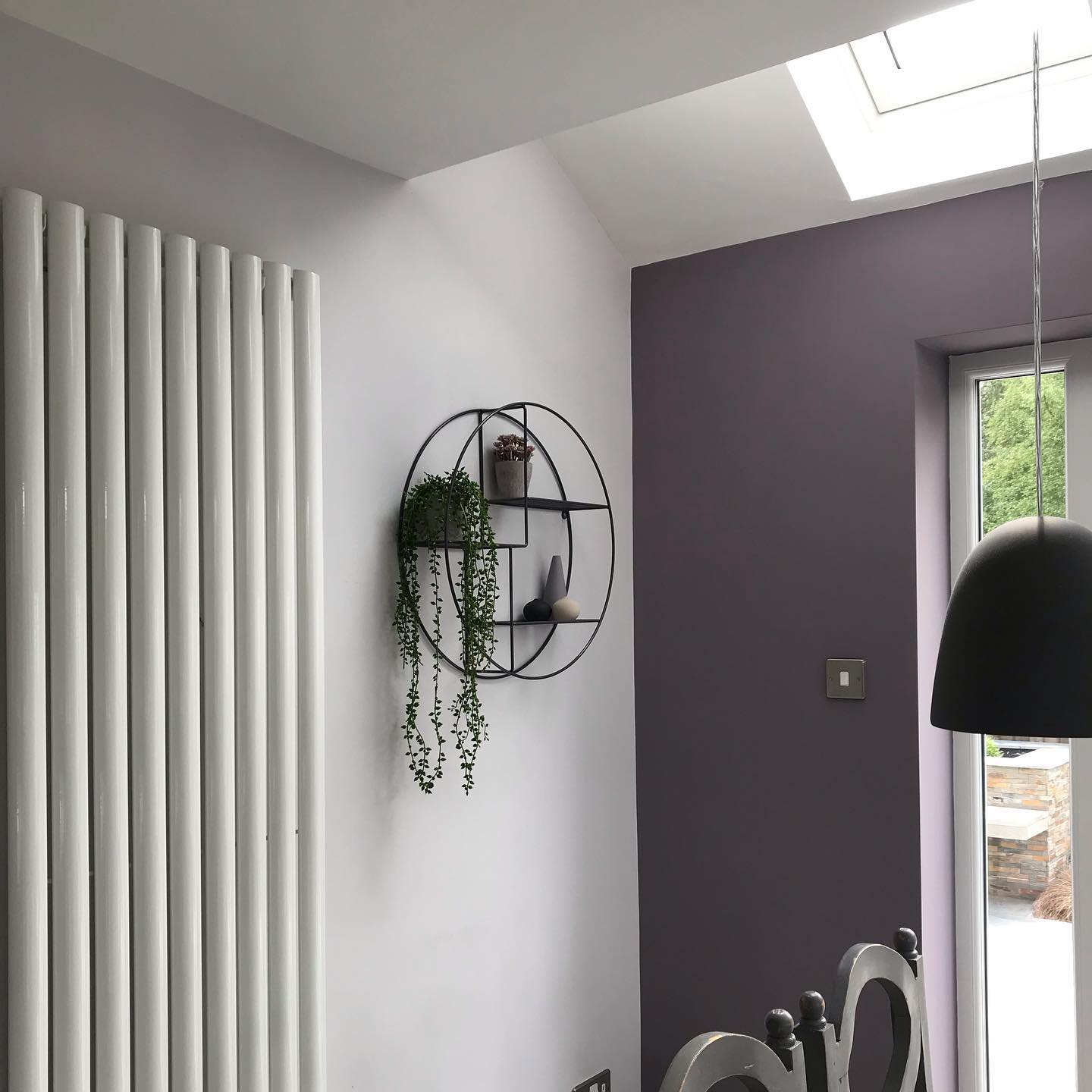 Photo of Brassica paint color