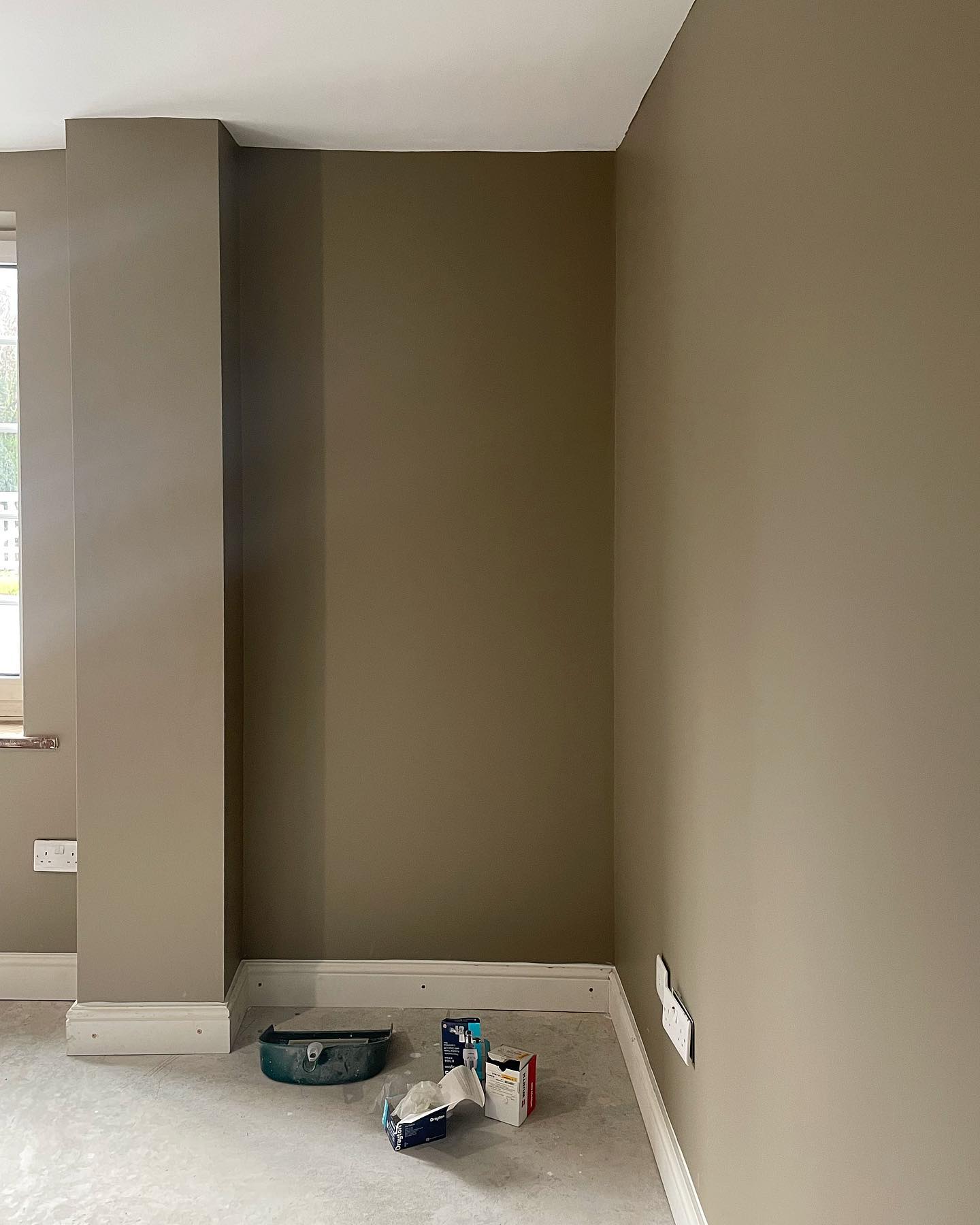 Photo of Mouse's Back paint color