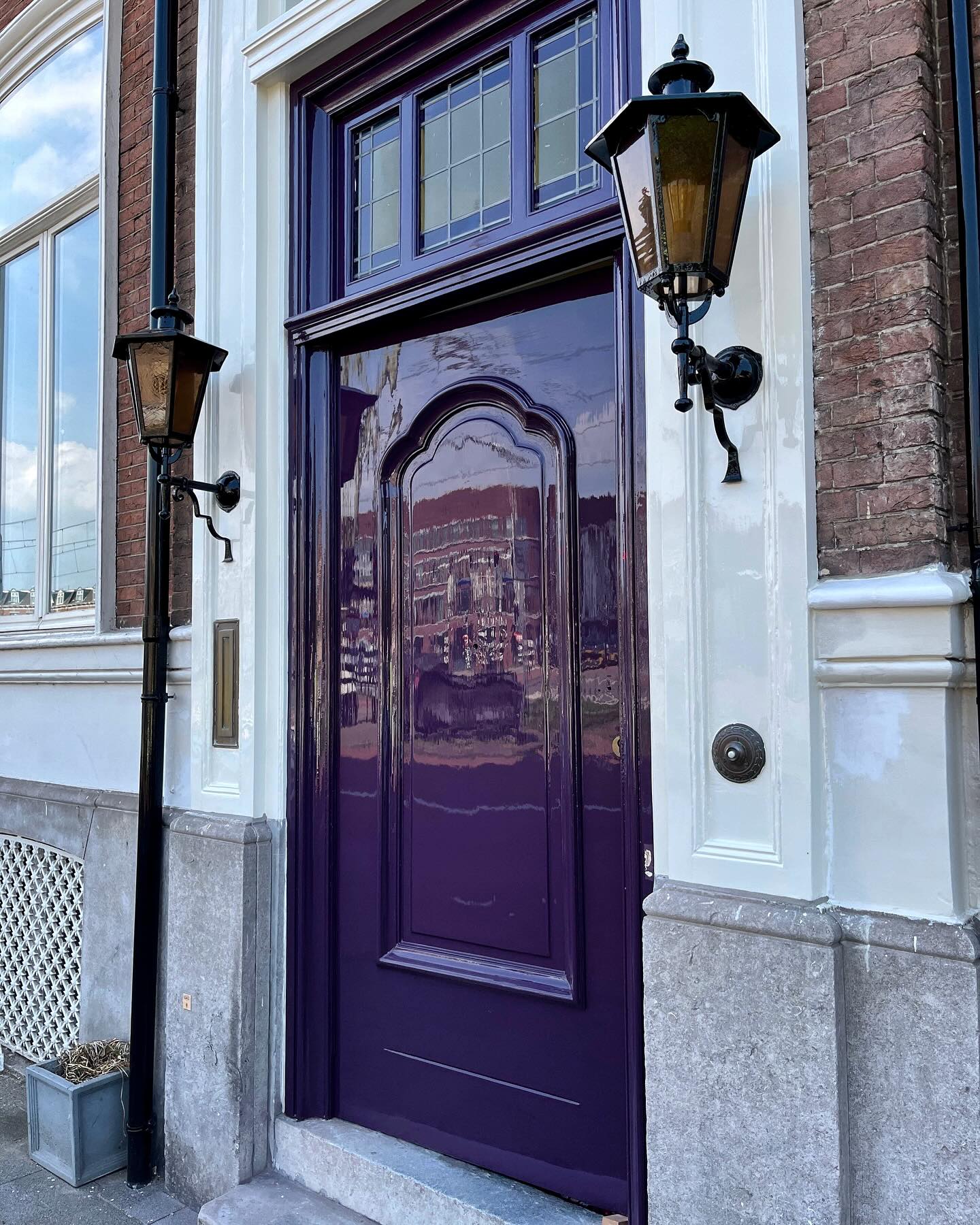 Photo of Pelt paint color