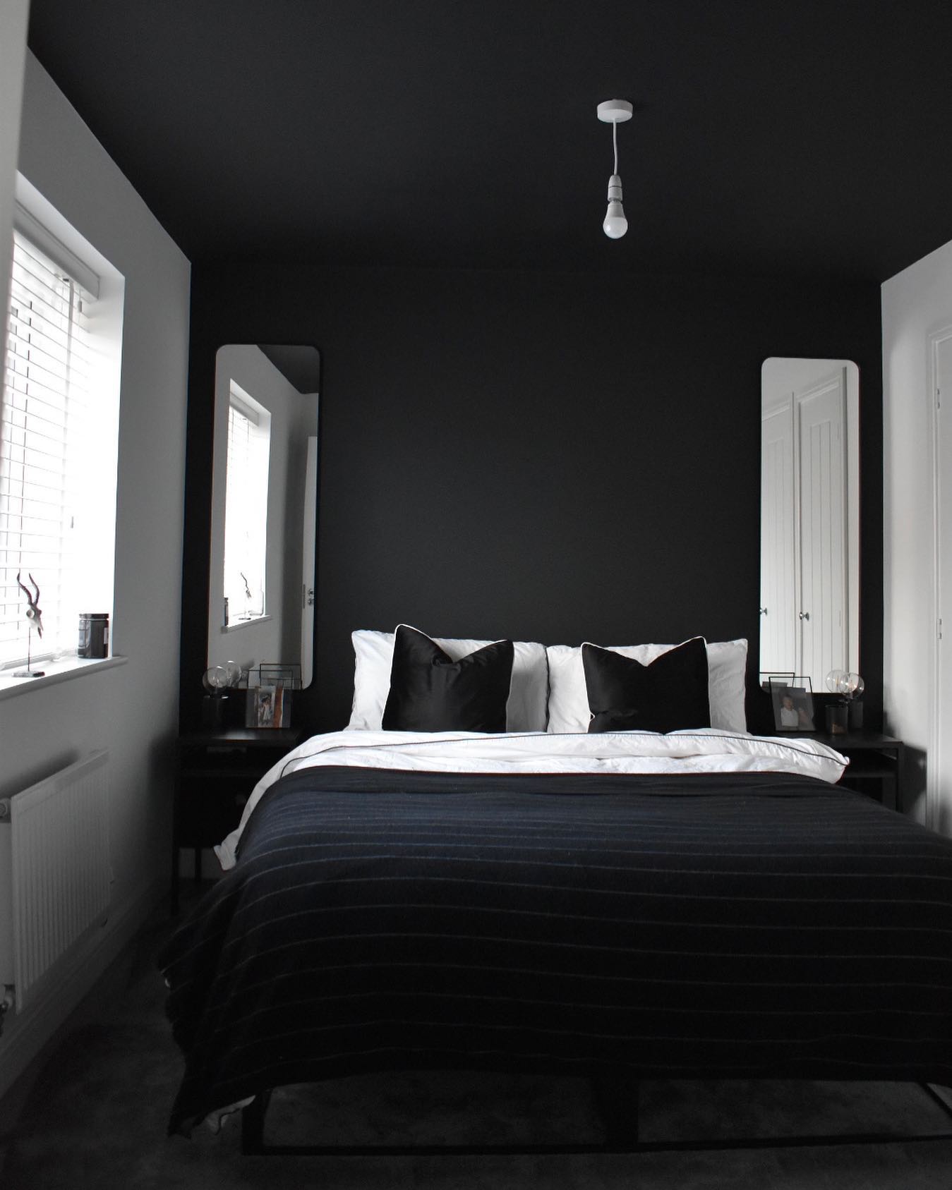 Photo of Pitch Black paint color