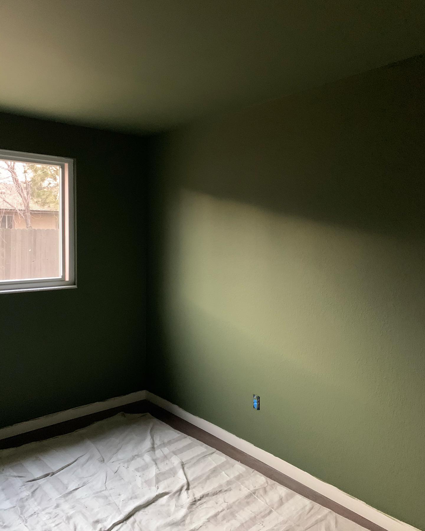 Photo of Oakmoss paint color
