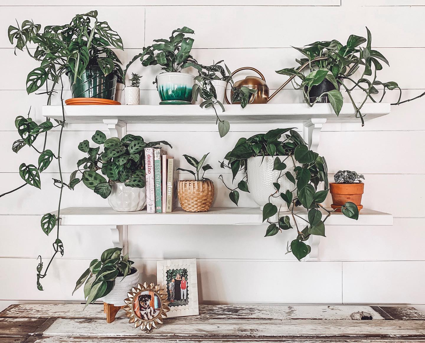 Photo of Bistro White paint color
