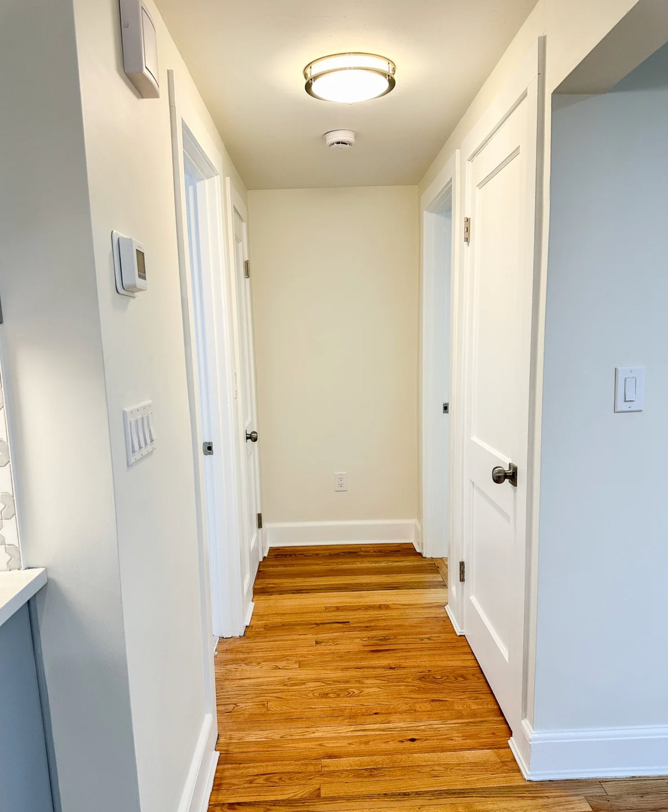 BM White Dove in a hallway