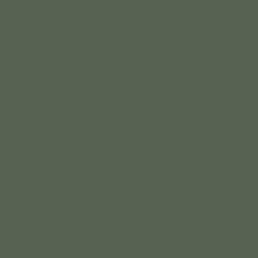 Backwoods by Benjamin Moore