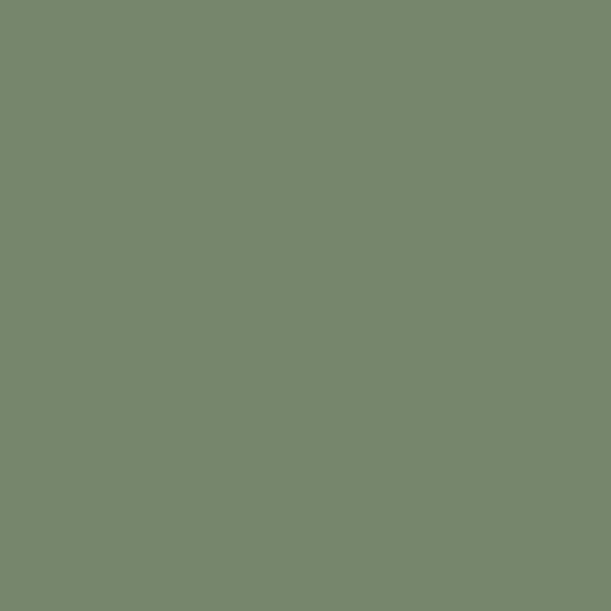 Calke Green by Farrow Ball