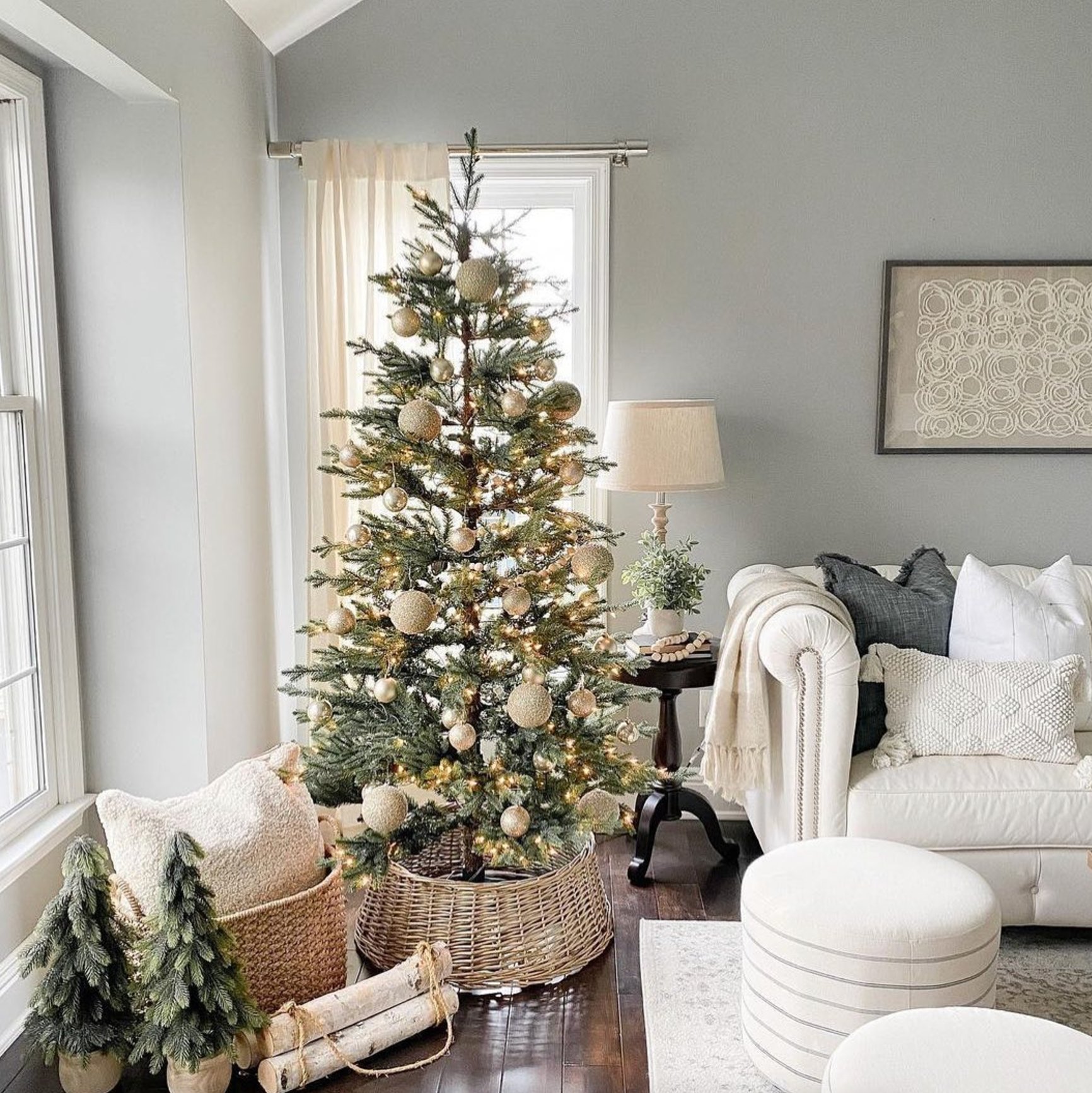 Coventry Gray in a living room