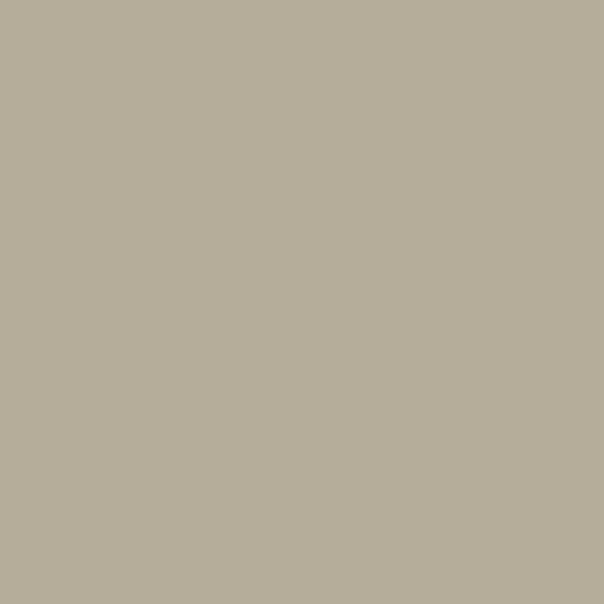 Finnie Gray by Benjamin Moore
