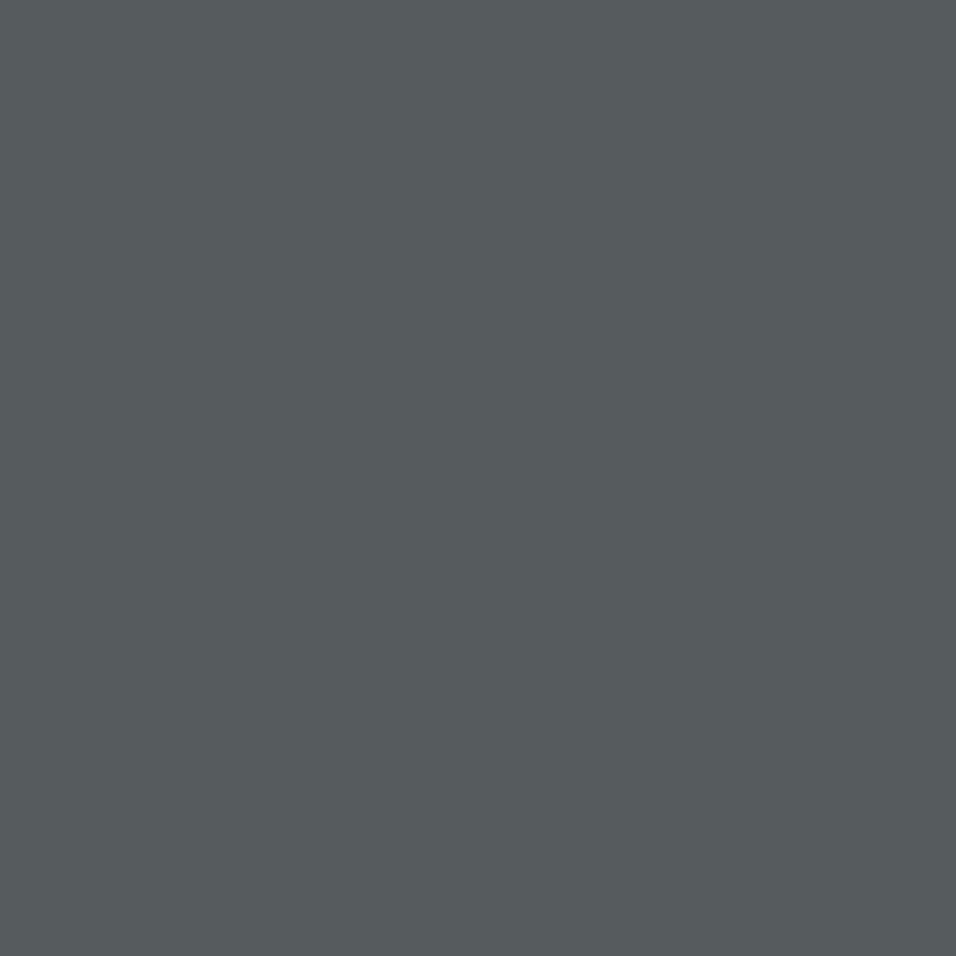 Flint by Benjamin Moore
