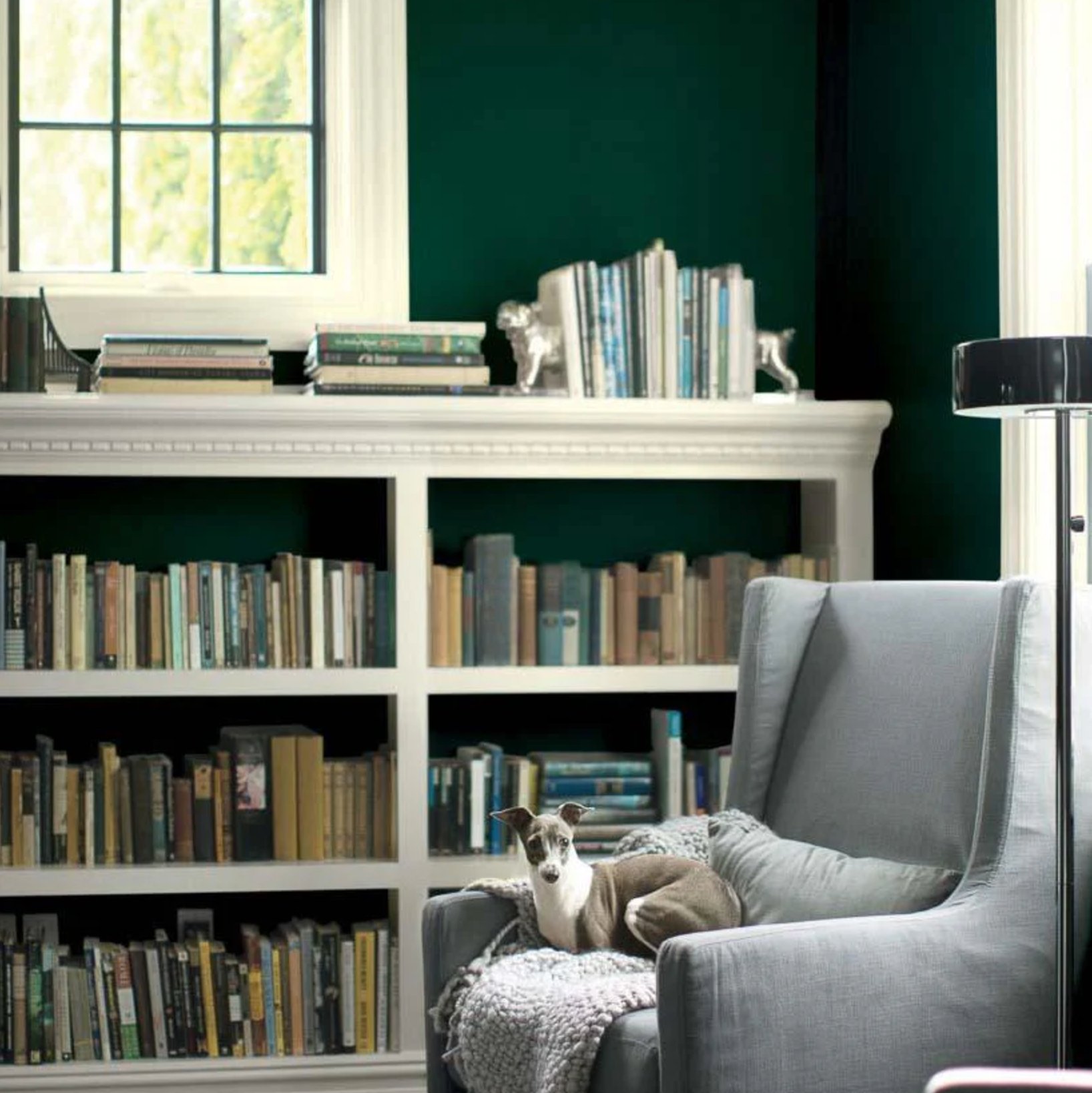Hunter Green in a living room