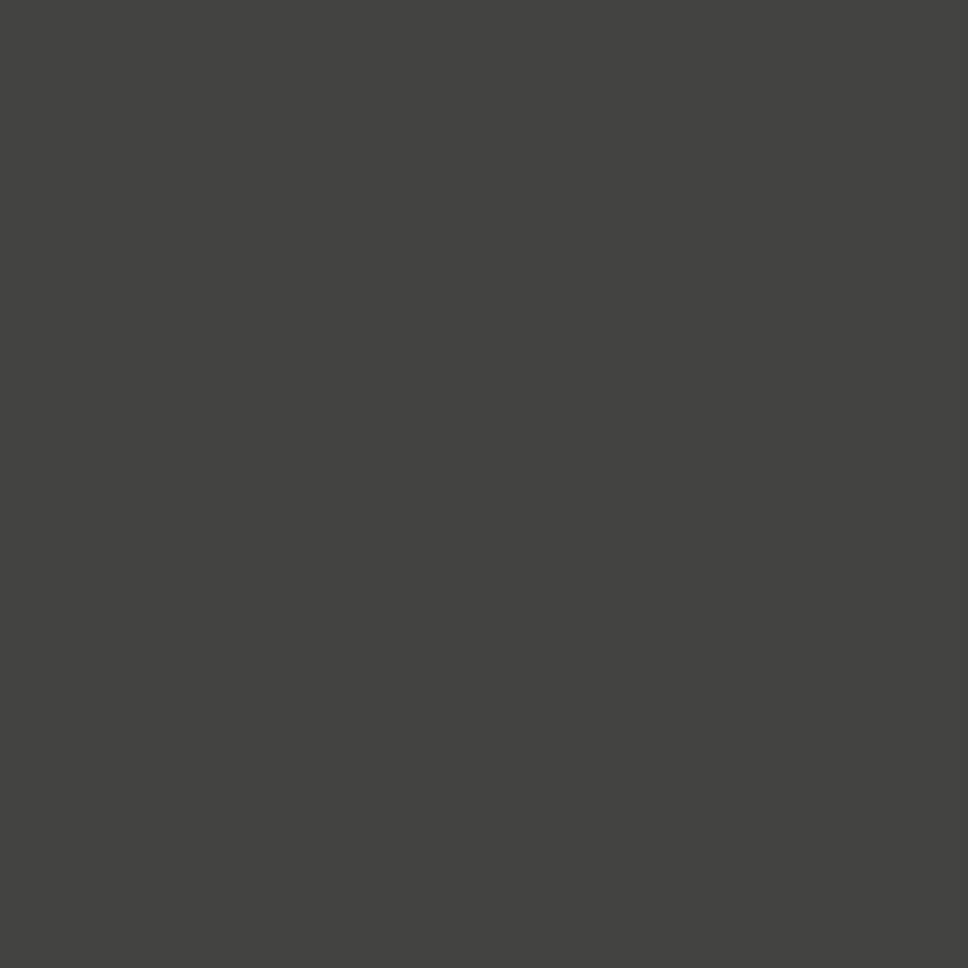 Iron Ore by Sherwin Williams