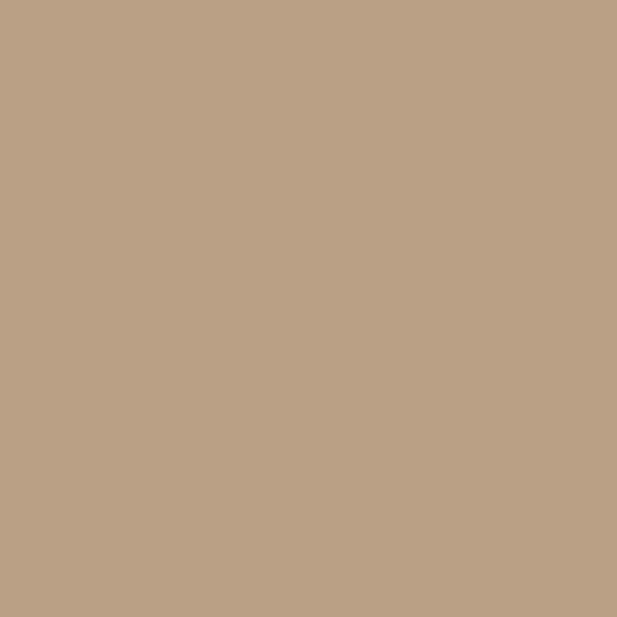 Latte by Sherwin Williams