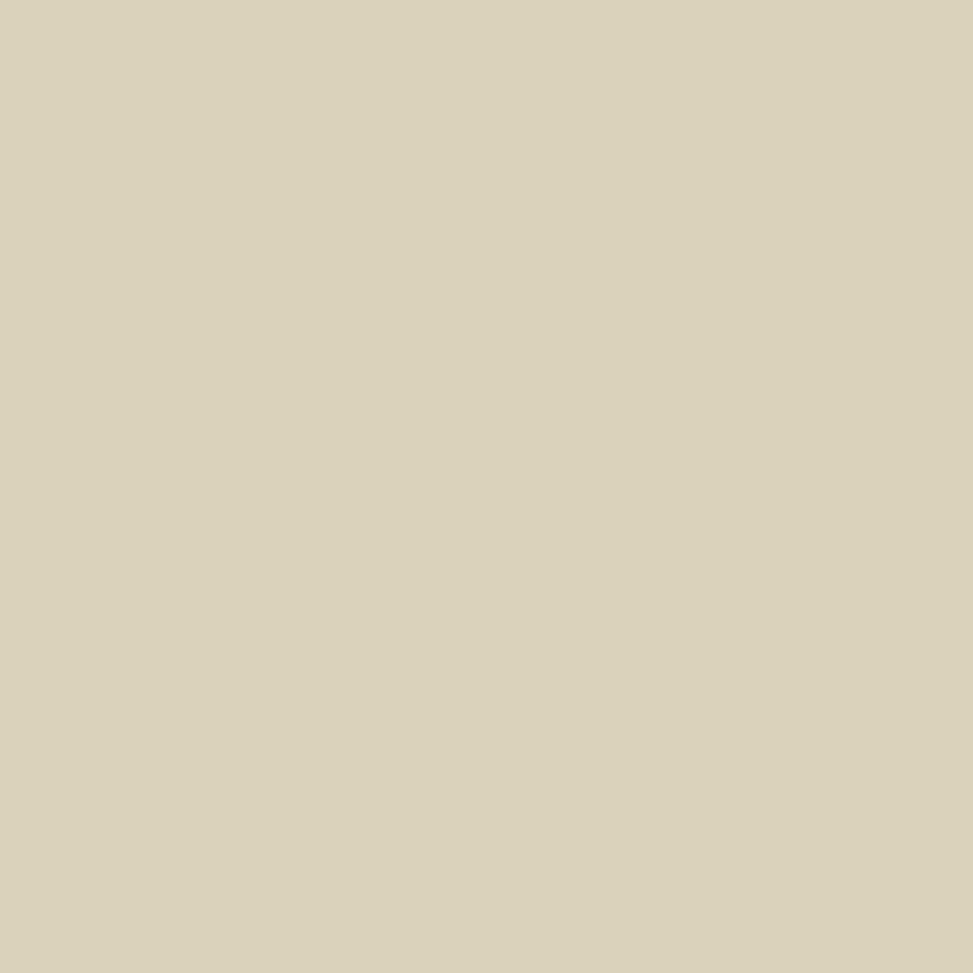 Manchester Tan by Benjamin Moore