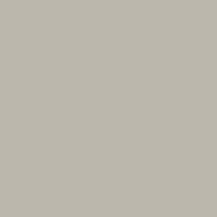 Mindful Gray by Sherwin Williams