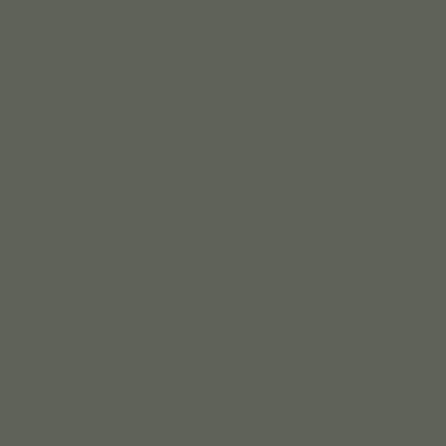 Pewter Green by Sherwin-Williams