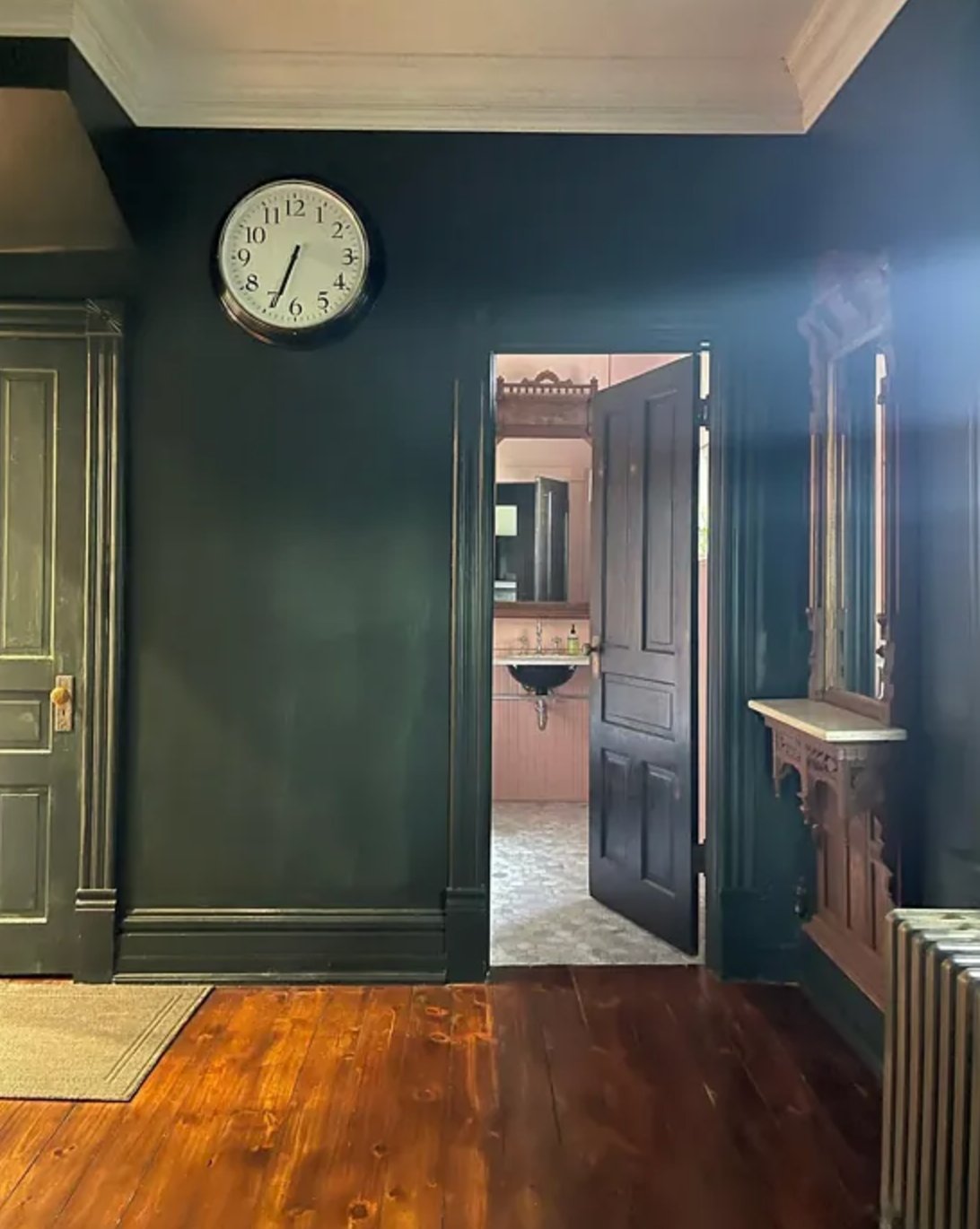Rookwood Shutter Green in a hall