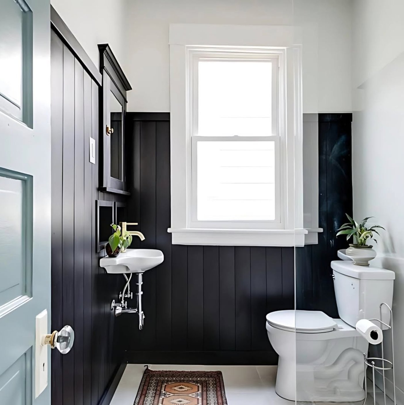 Tricorn Black by Sherwin Williams lighting impact