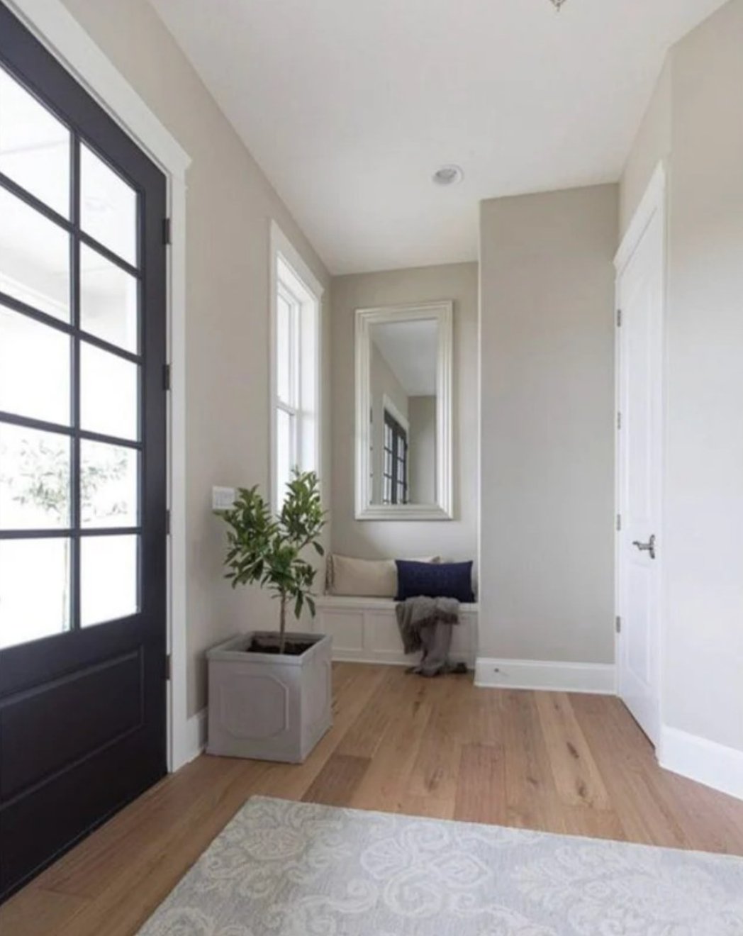Worldly Gray by Sherwin Williams lighting