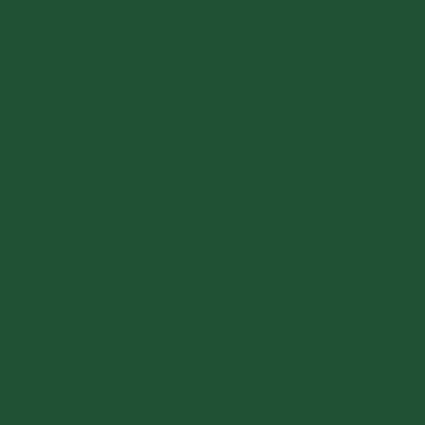 Shamrock by Sherwin Williams