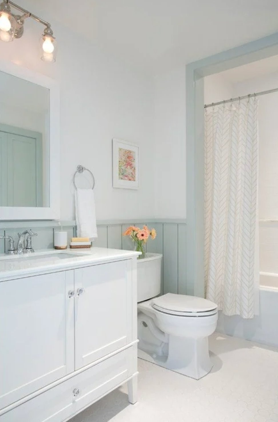 Sherwin Williams Sea Salt in a bathroom