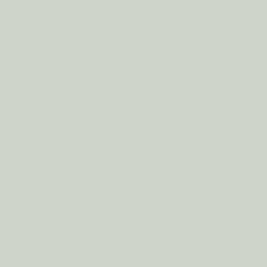 Sherwin Williams Sea Salt