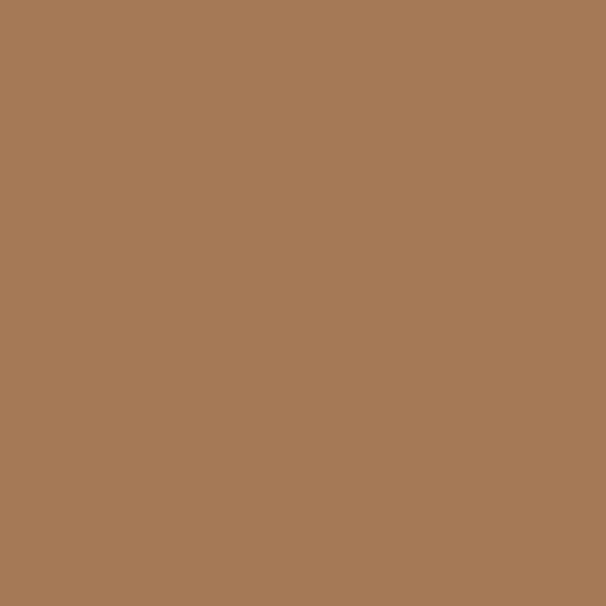 Smokey Topaz by Sherwin Williams