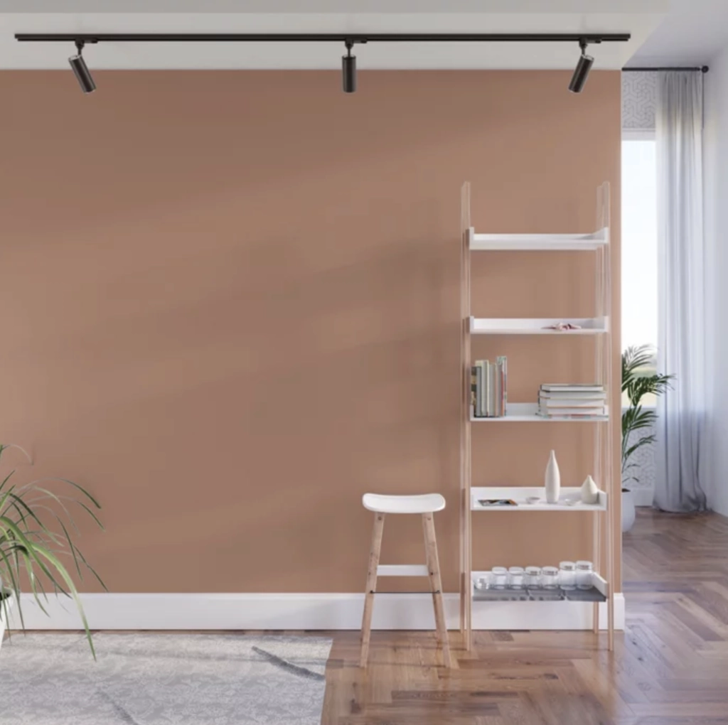 Subdued Sienna in a living room
