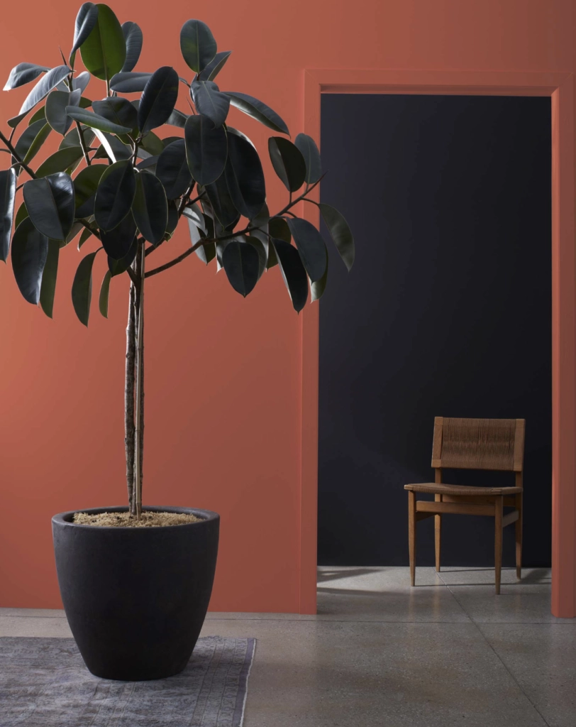 Terra Cotta Tile in a living room