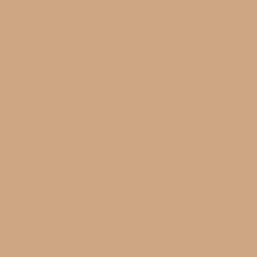 Totally Tan by Sherwin Williams