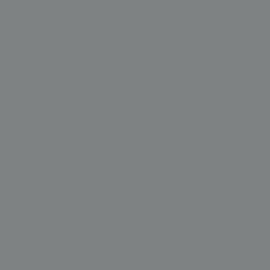 Whale Gray by Benjamin Moore
